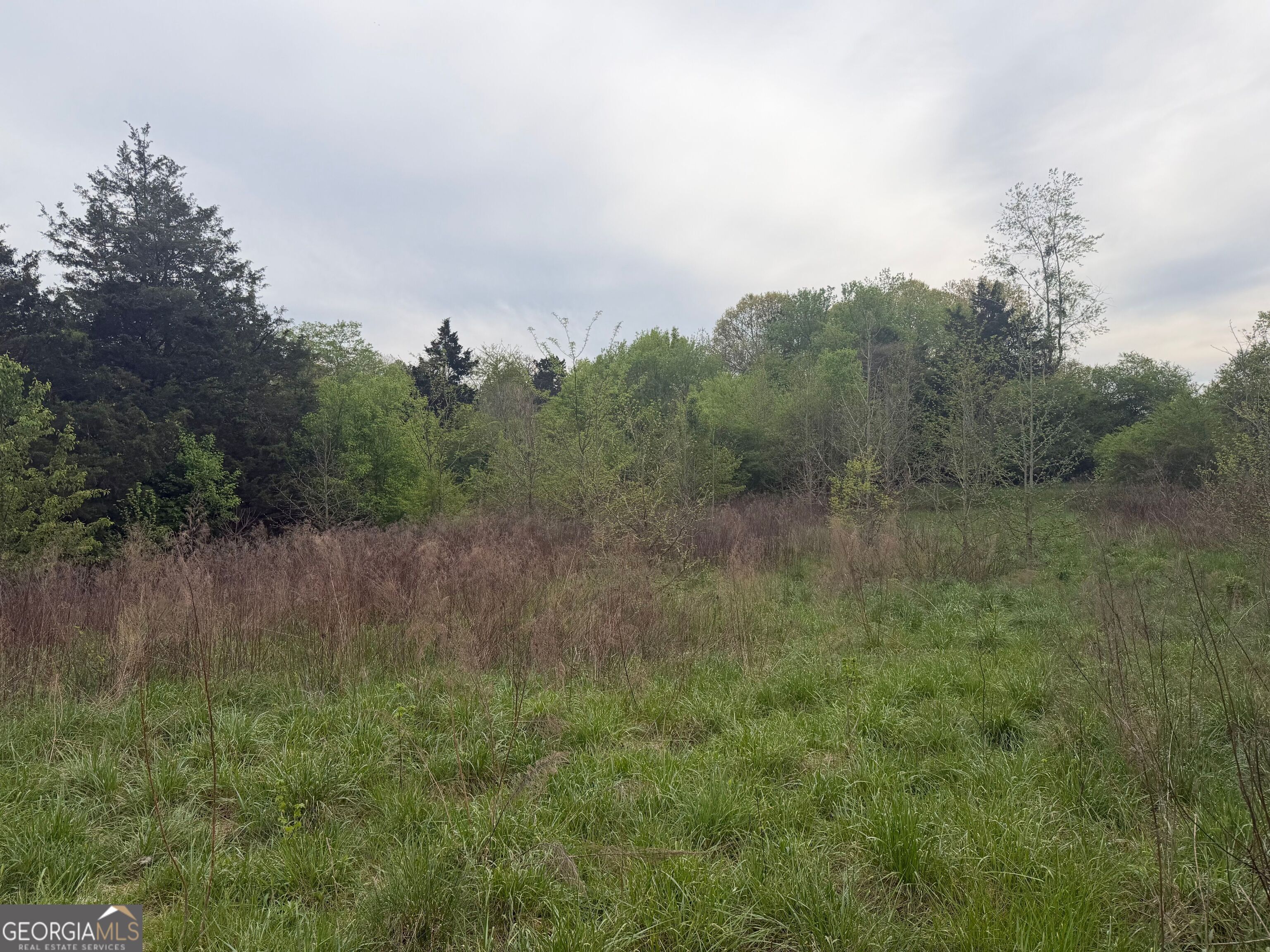 0 North County Line Road Alto, GA 30510 - Photo 3 of 45