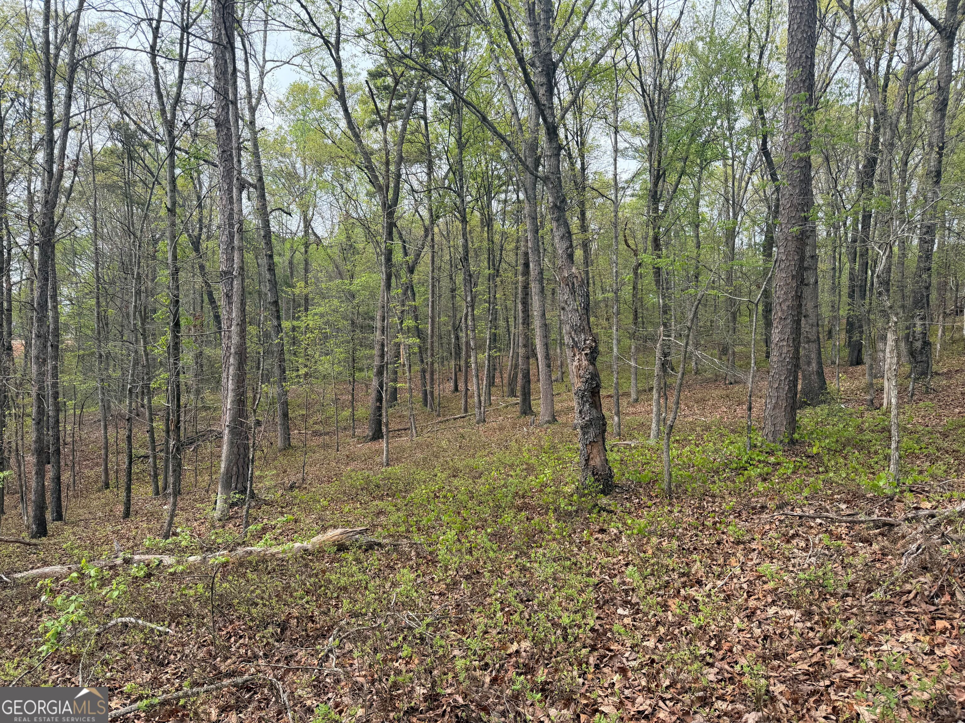 0 North County Line Road Alto, GA 30510 - Photo 32 of 45