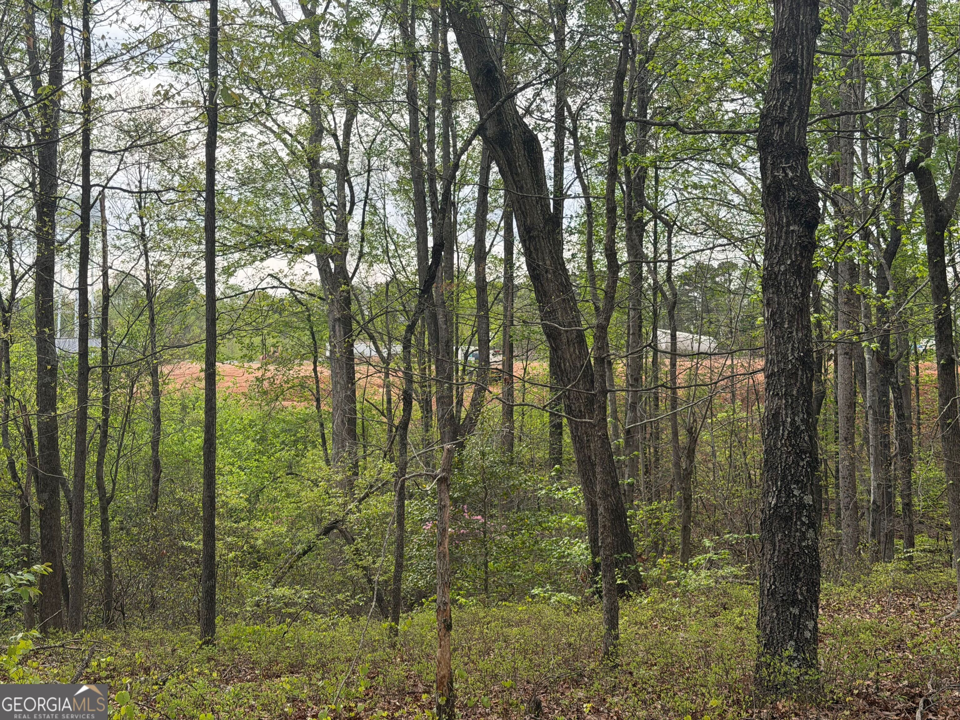 0 North County Line Road Alto, GA 30510 - Photo 33 of 45