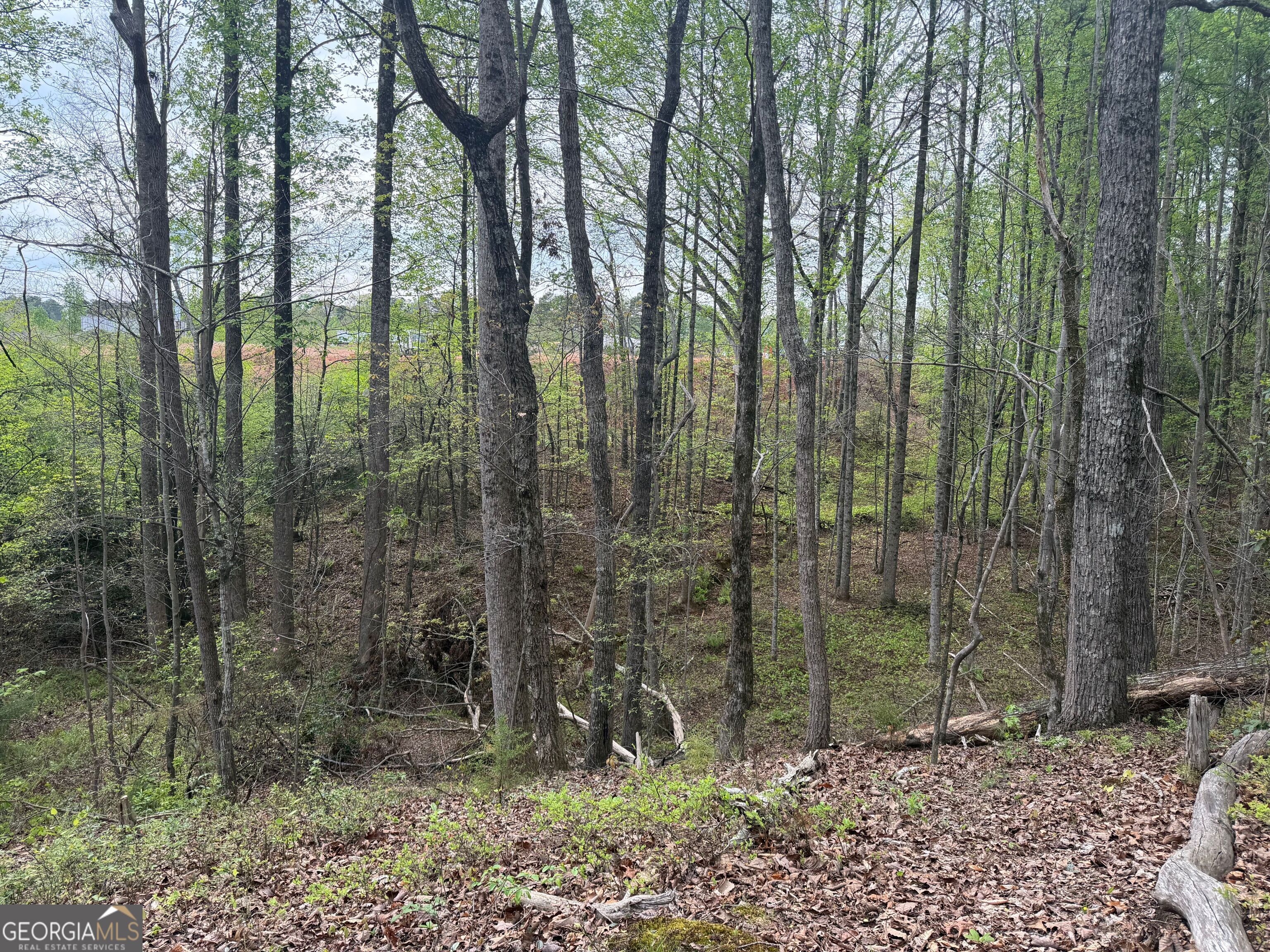 0 North County Line Road Alto, GA 30510 - Photo 34 of 45