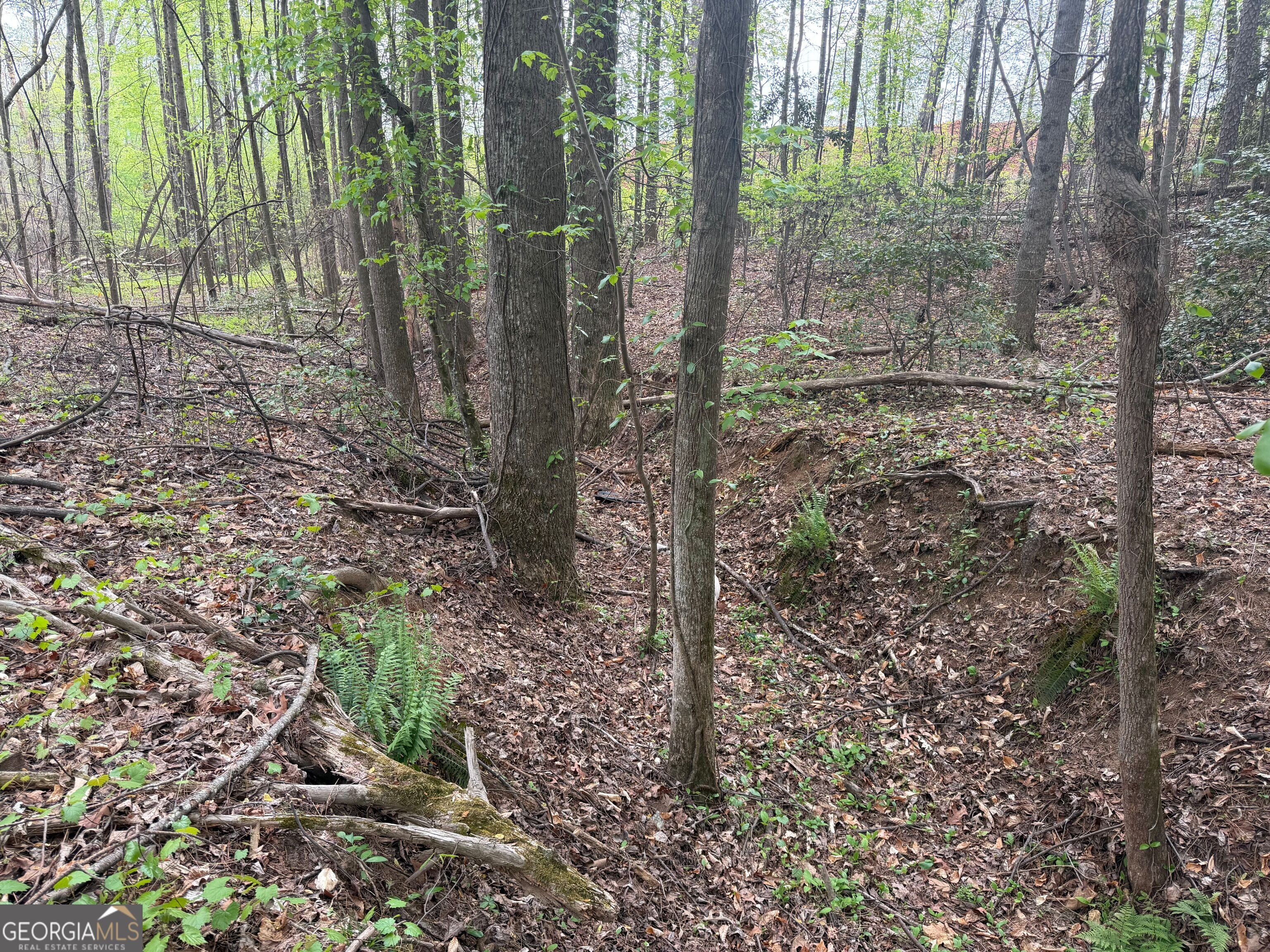 0 North County Line Road Alto, GA 30510 - Photo 35 of 45