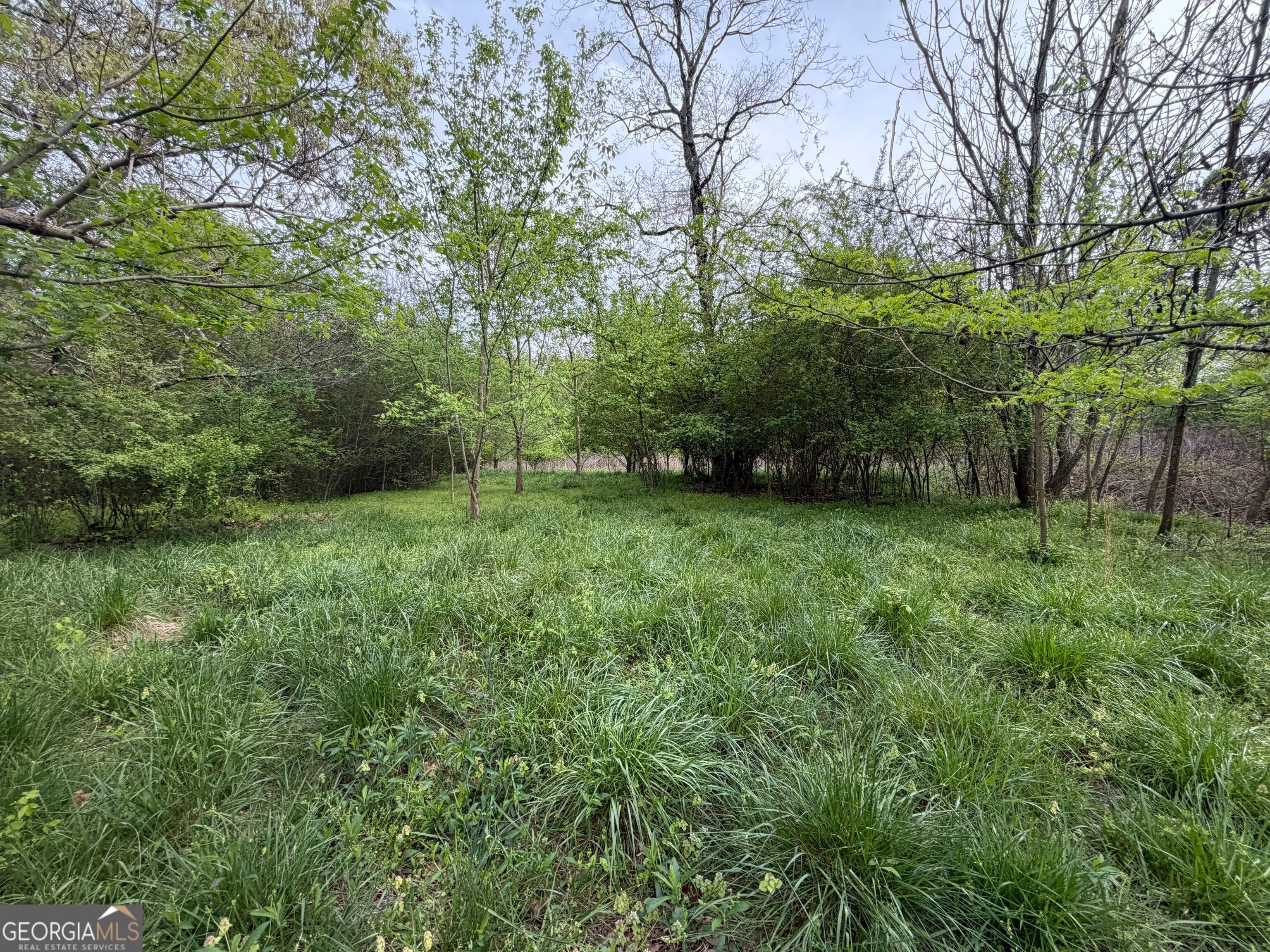 0 North County Line Road Alto, GA 30510 - Photo 36 of 45