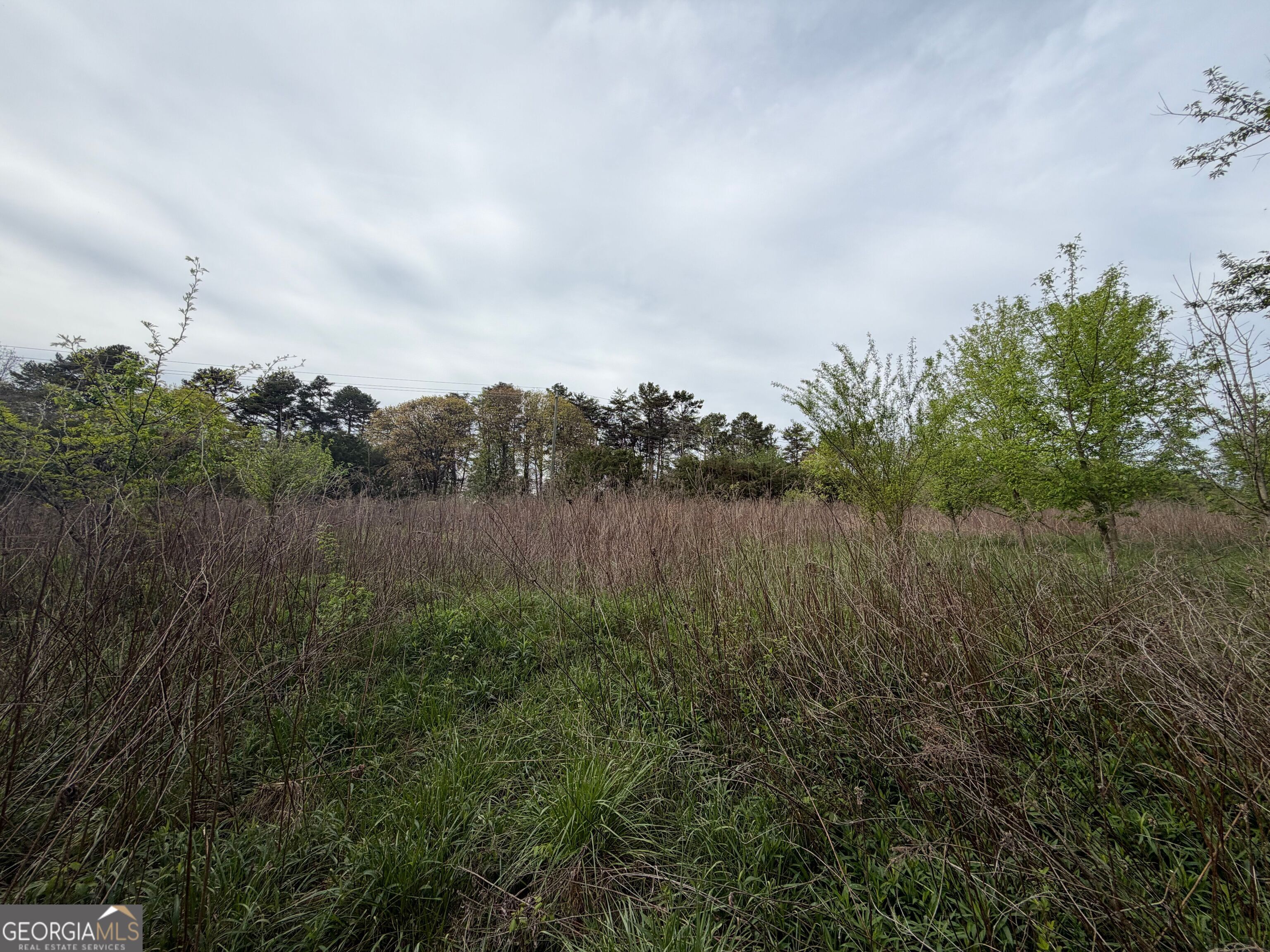 0 North County Line Road Alto, GA 30510 - Photo 37 of 45