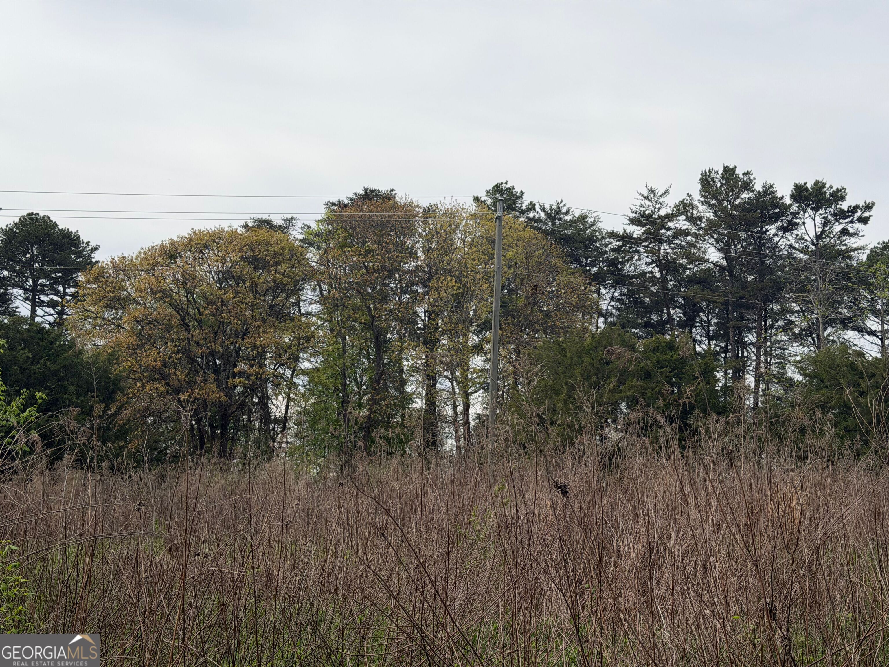 0 North County Line Road Alto, GA 30510 - Photo 38 of 45