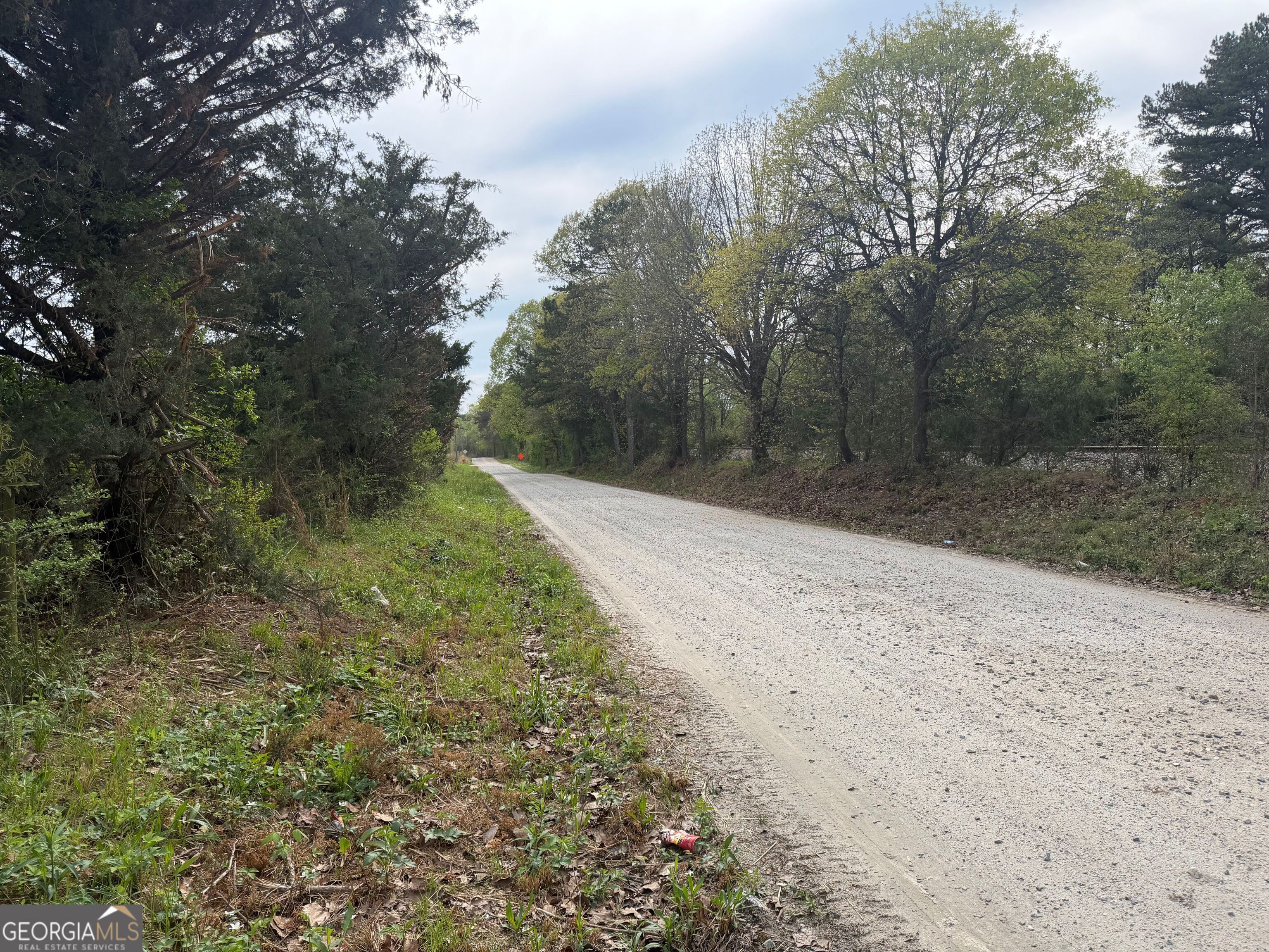 0 North County Line Road Alto, GA 30510 - Photo 39 of 45