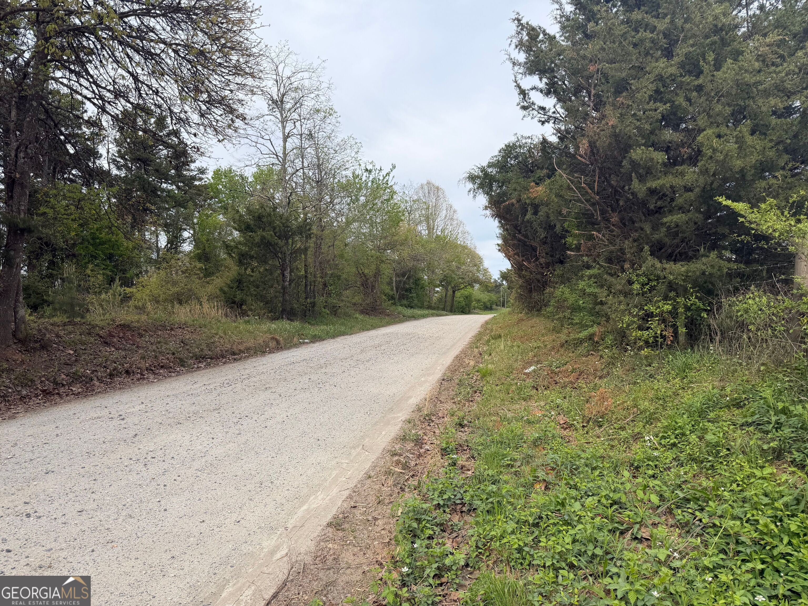 0 North County Line Road Alto, GA 30510 - Photo 40 of 45