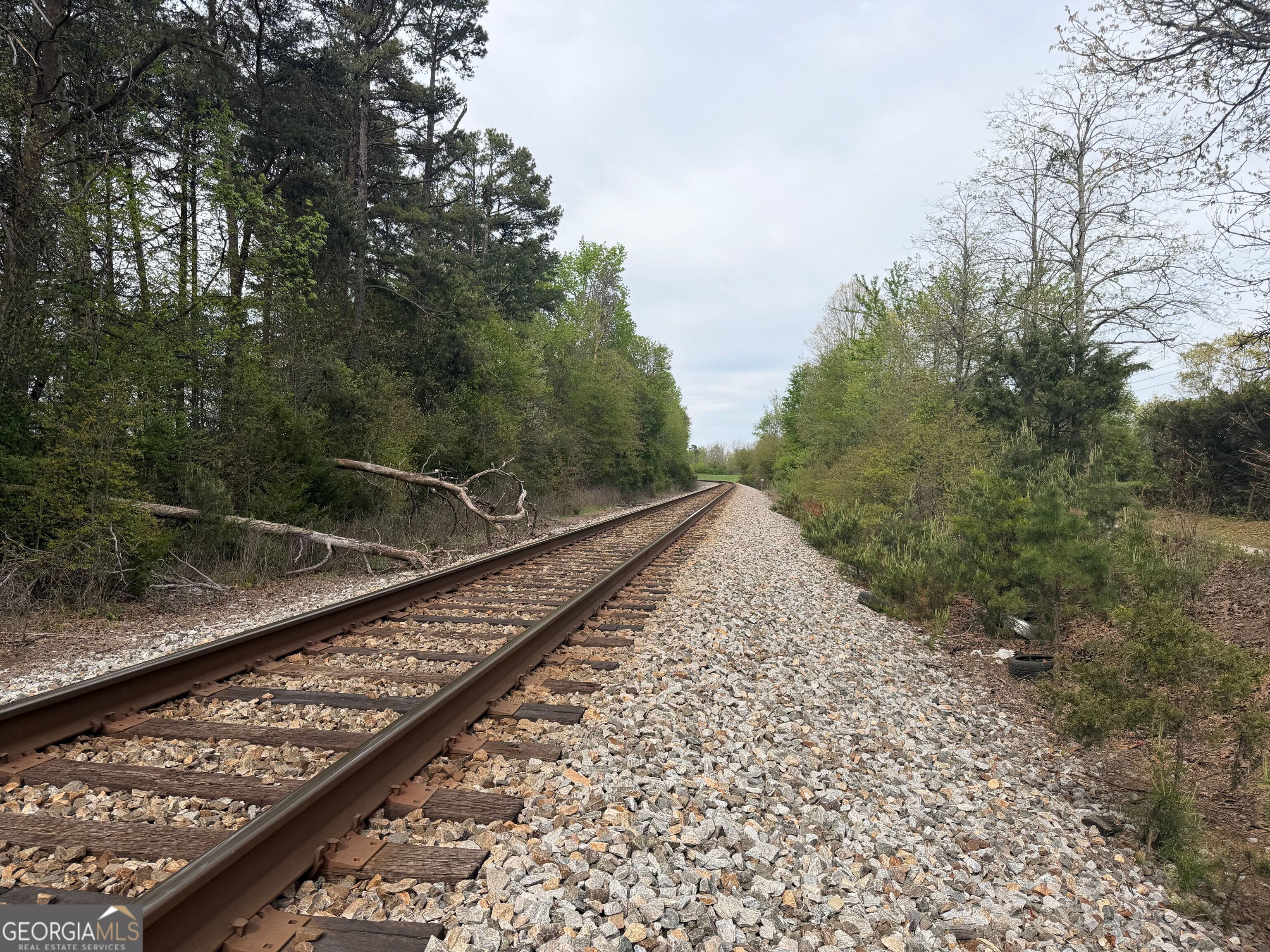 0 North County Line Road Alto, GA 30510 - Photo 41 of 45