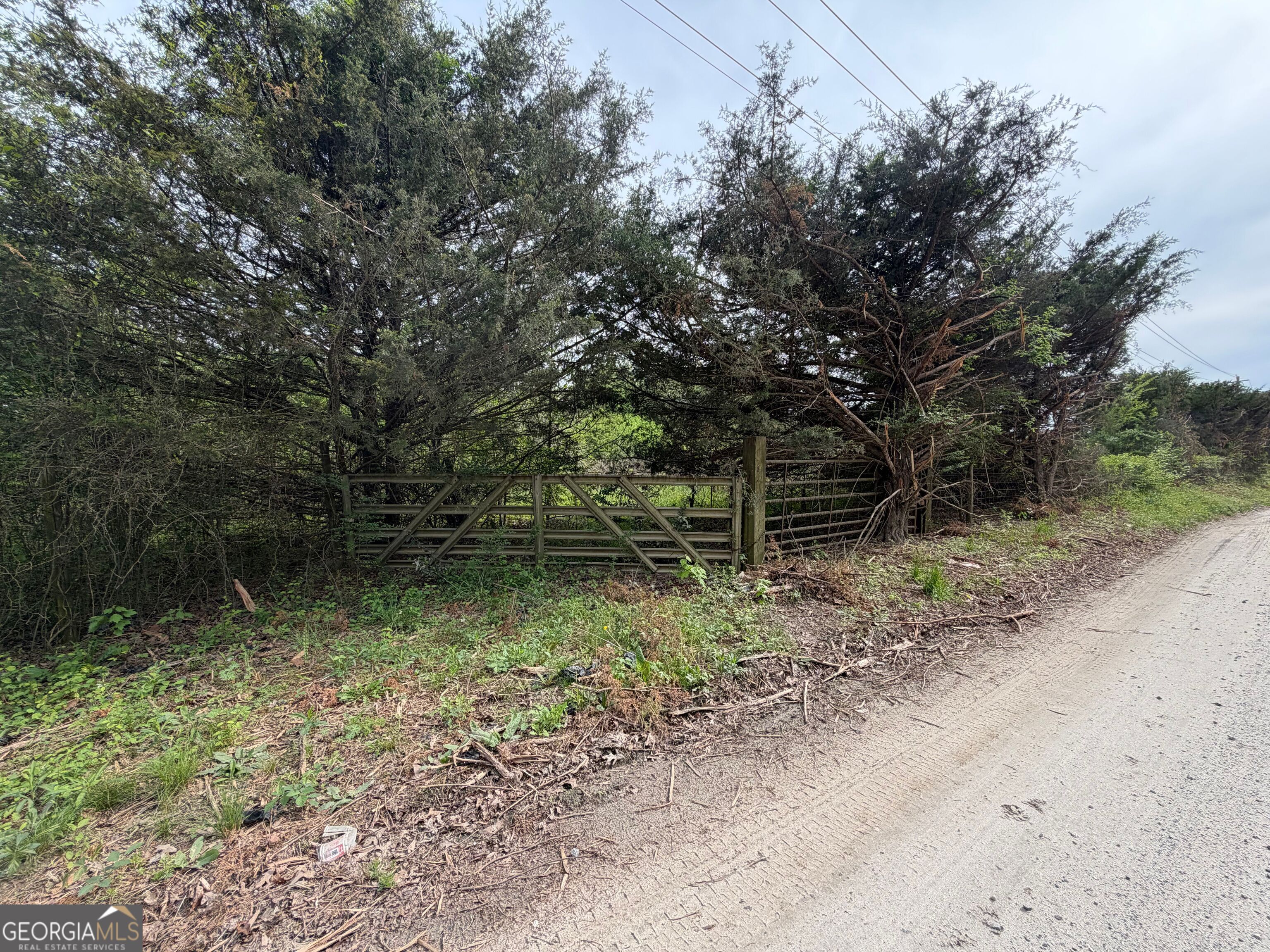 0 North County Line Road Alto, GA 30510 - Photo 42 of 45