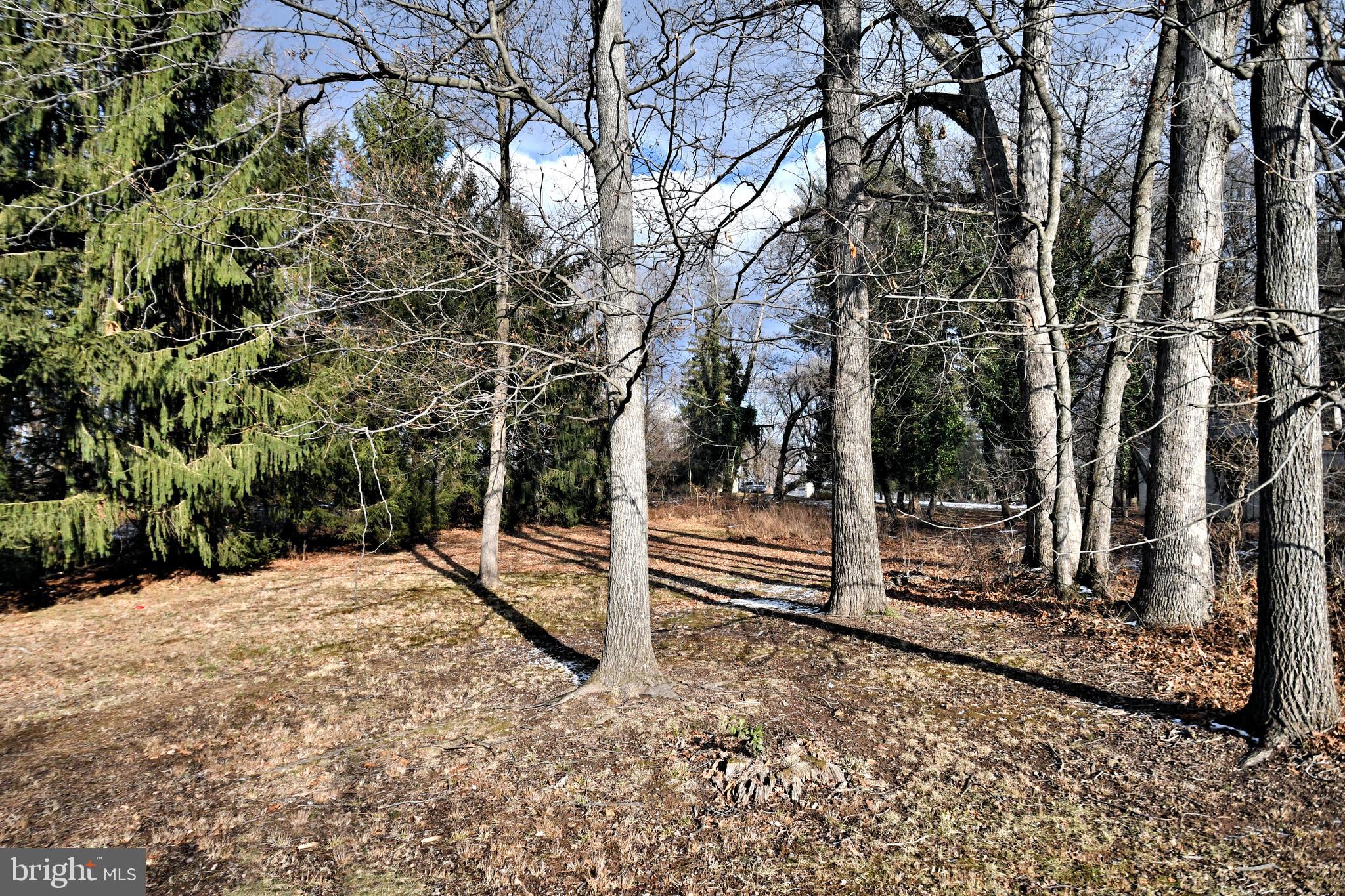 433 Saylors Mill Road Spring City, PA 19475 - Photo 9 of 40 a view of a backyard of the house