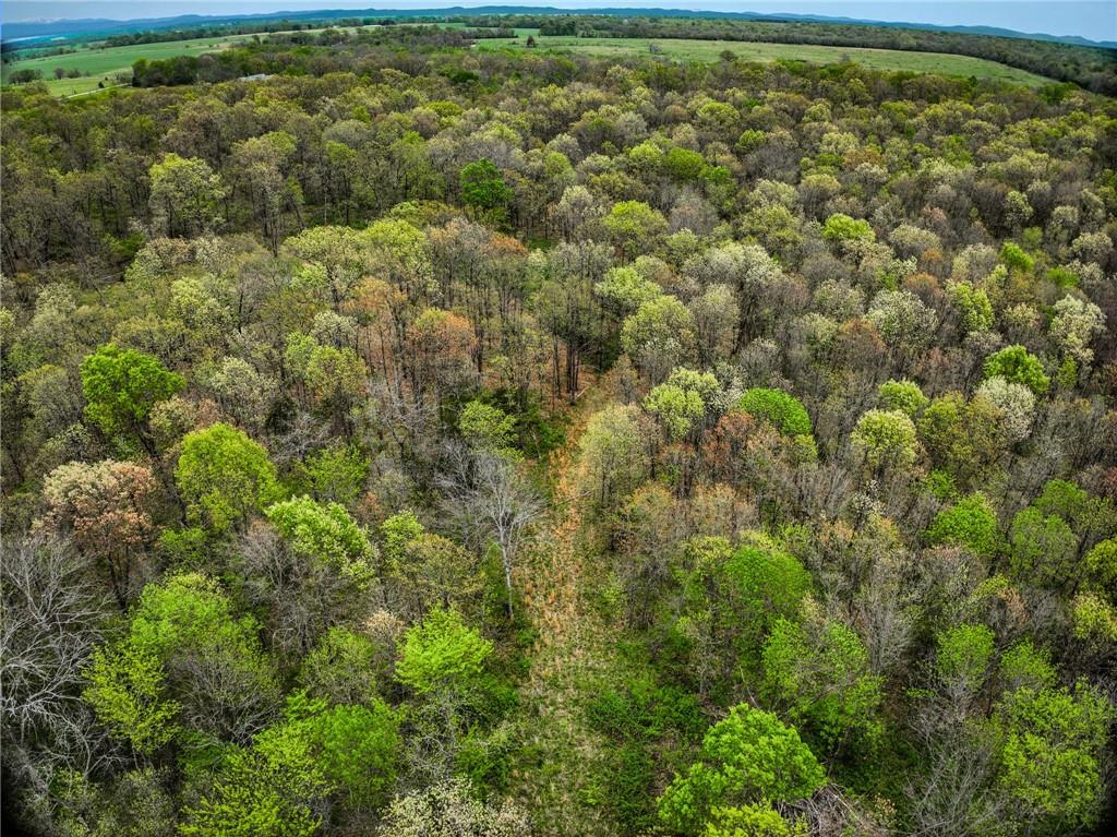 Lot 2 South 725 Road Stockton, MO 65785 - Photo 39 of 48