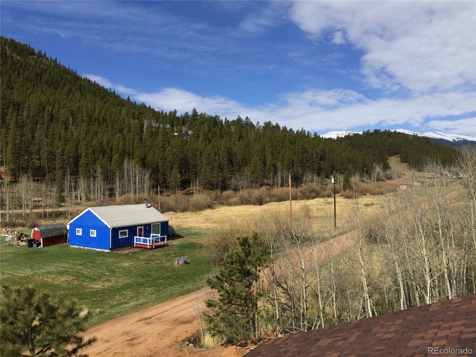 175 Bishop Road Bailey, CO 80421 - Photo 2 of 10