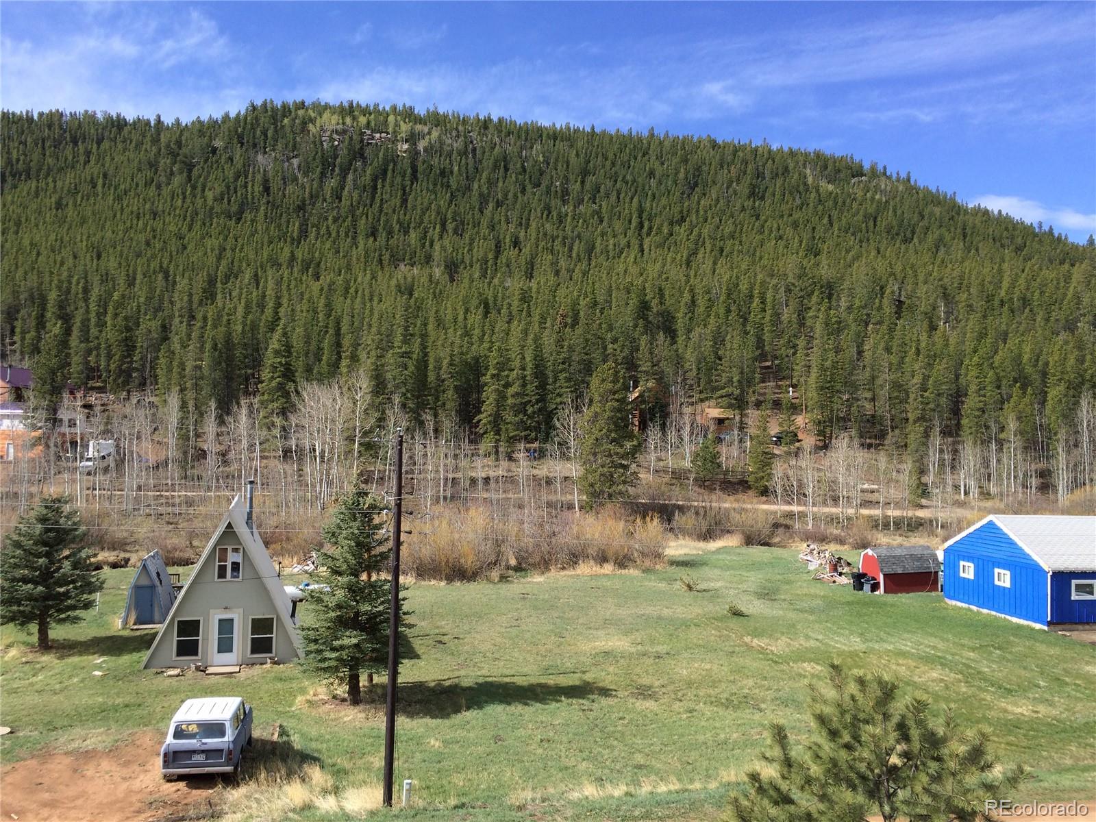 175 Bishop Road Bailey, CO 80421 - Photo 3 of 10