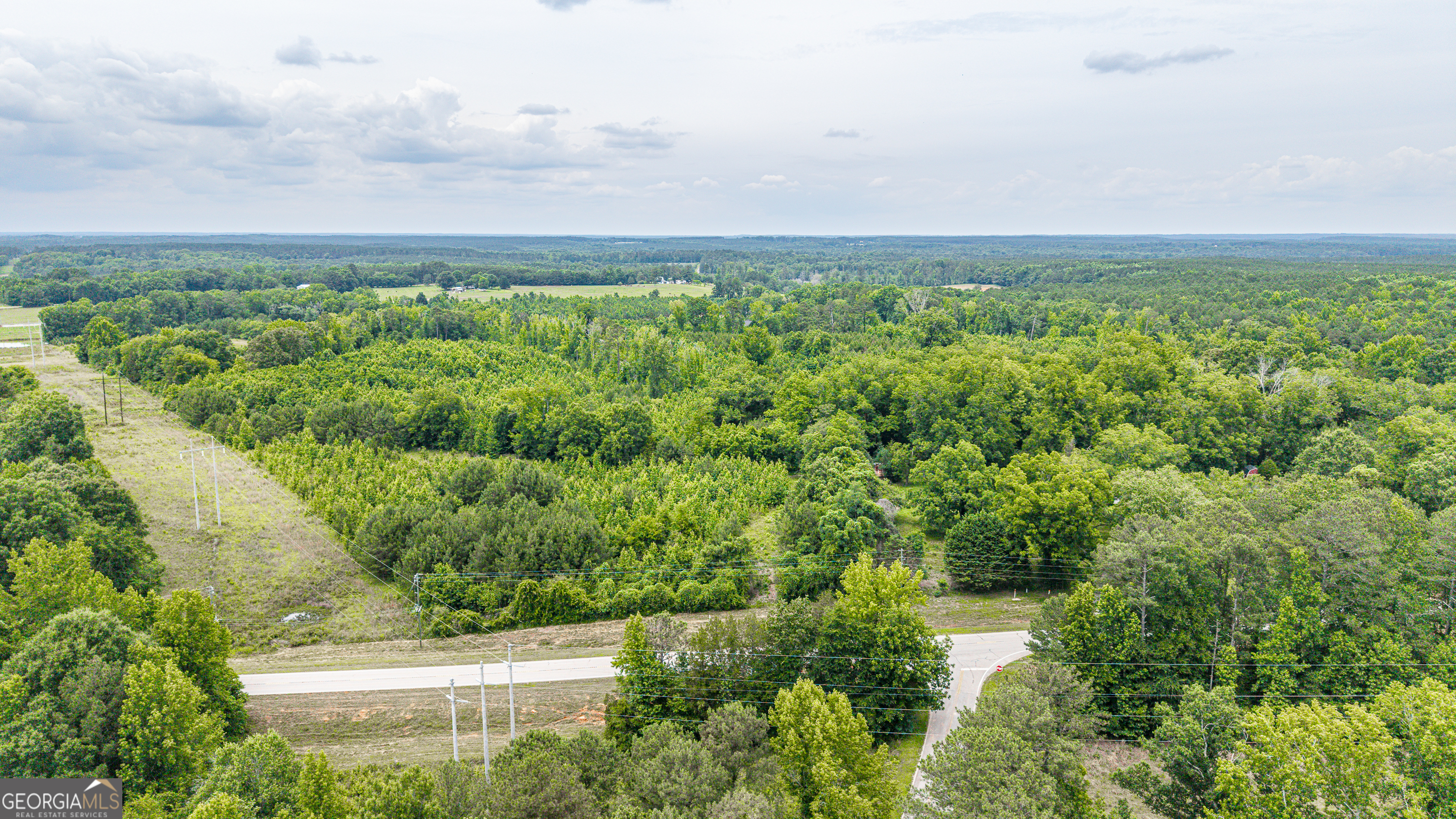 0 Washington Highway Union Point, GA 30669 - Photo 19 of 22