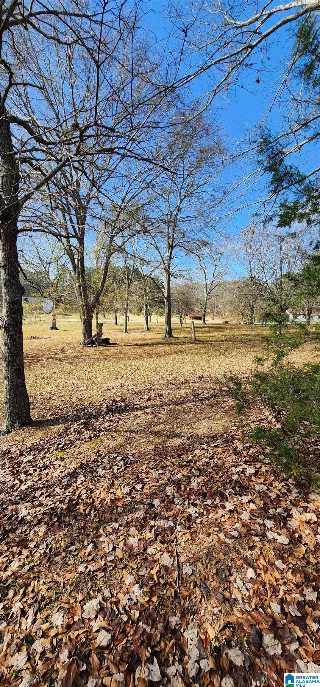 352 Kudzu Road Oneonta, AL 35121 - Photo 42 of 57