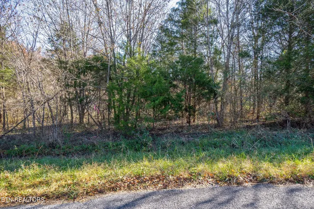$99,900 | 0 East Bethlehem Road, Doyle, TN 38559
