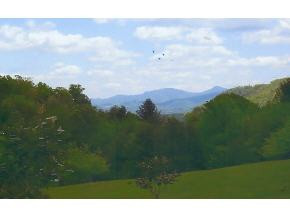 1527 Little Dry Run Road Butler, TN 37640 - Photo 3 of 9 Photo 3