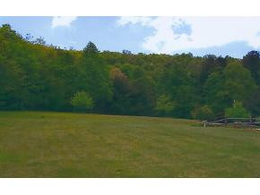 1527 Little Dry Run Road Butler, TN 37640 - Photo 8 of 9 Photo 8