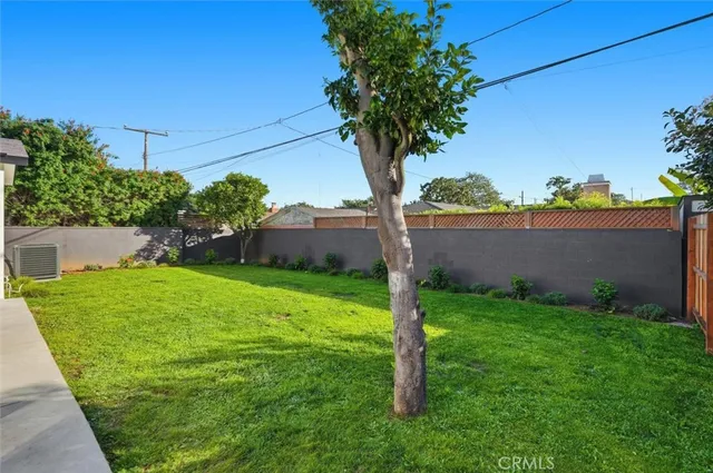 a tree in the garden with a tree in the background