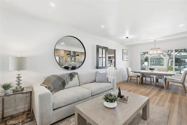 a living room with furniture a rug potted plant and a window