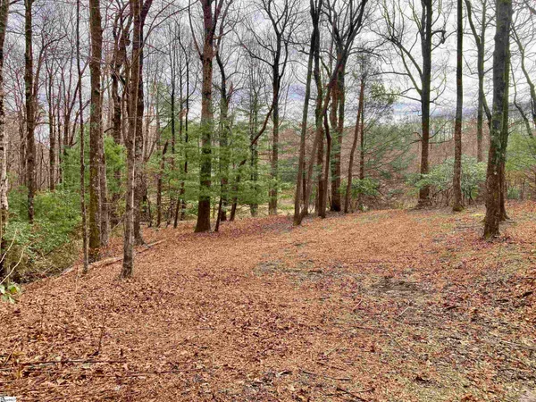 $100,000 | 238 Snap Dragon Way, Landrum, SC 29356