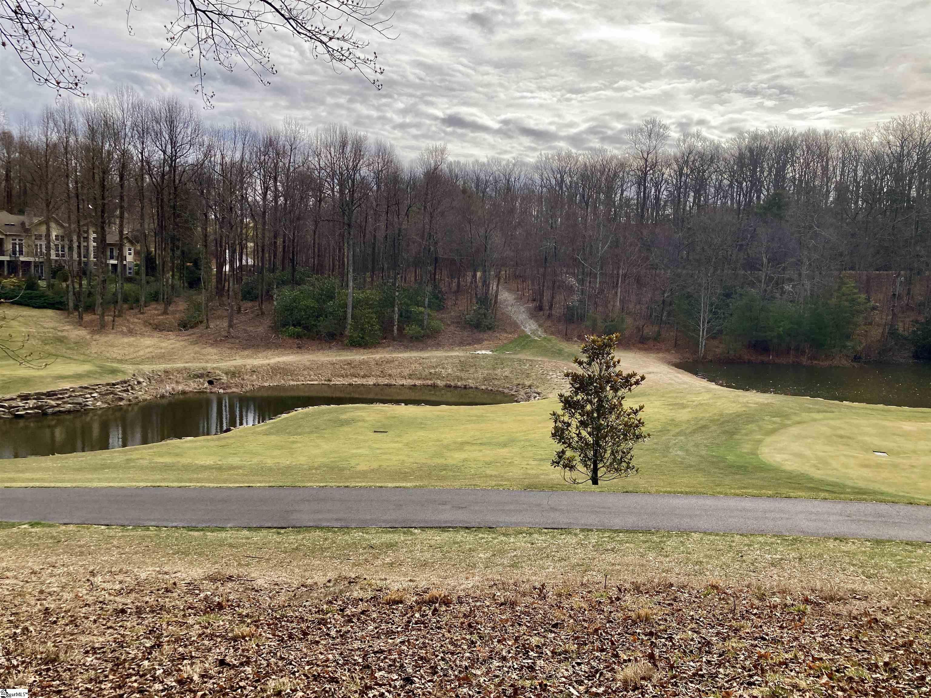 238 Snap Dragon Way Landrum, SC 29356 - Photo 2 of 6