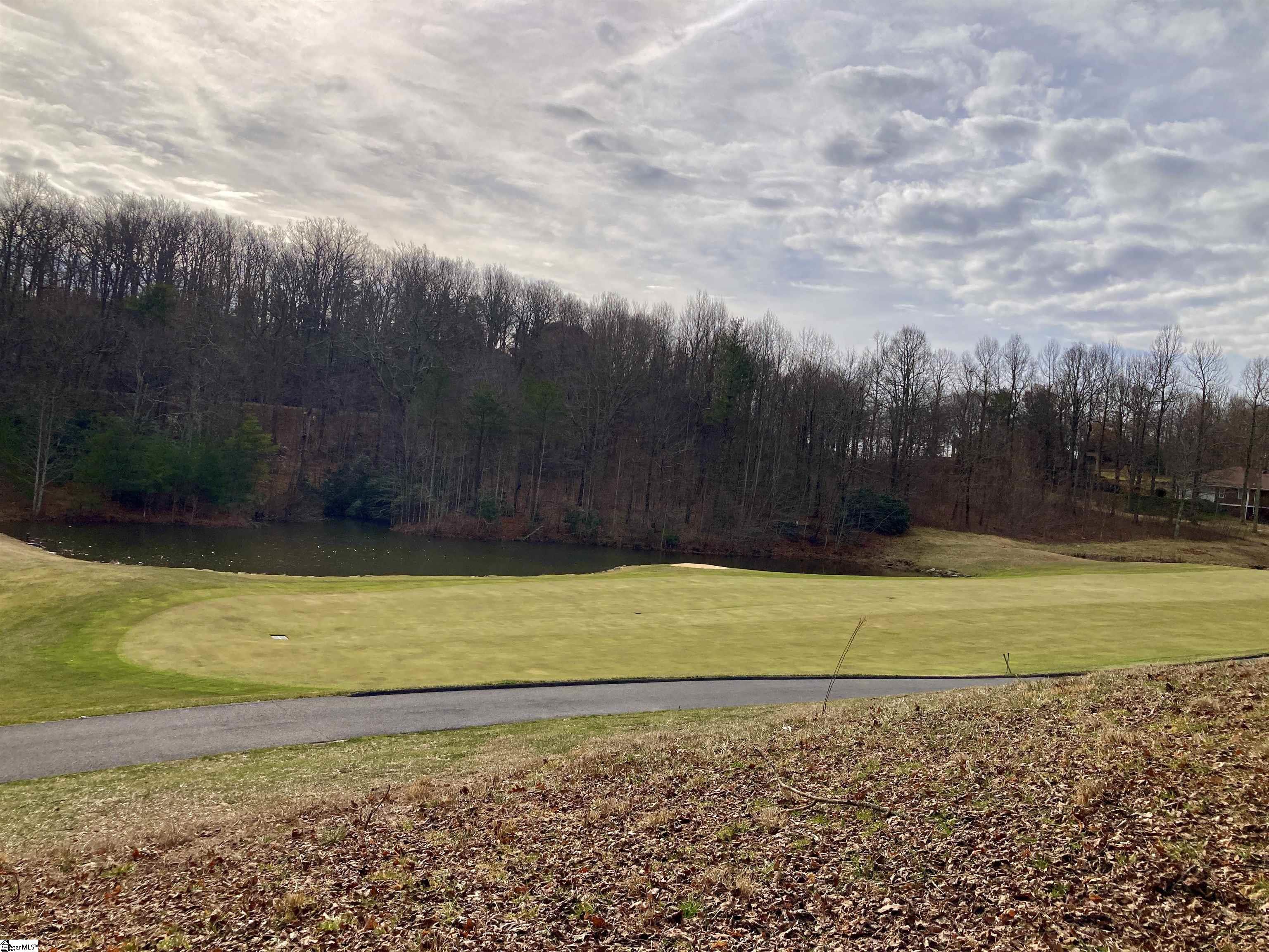 238 Snap Dragon Way Landrum, SC 29356 - Photo 3 of 6