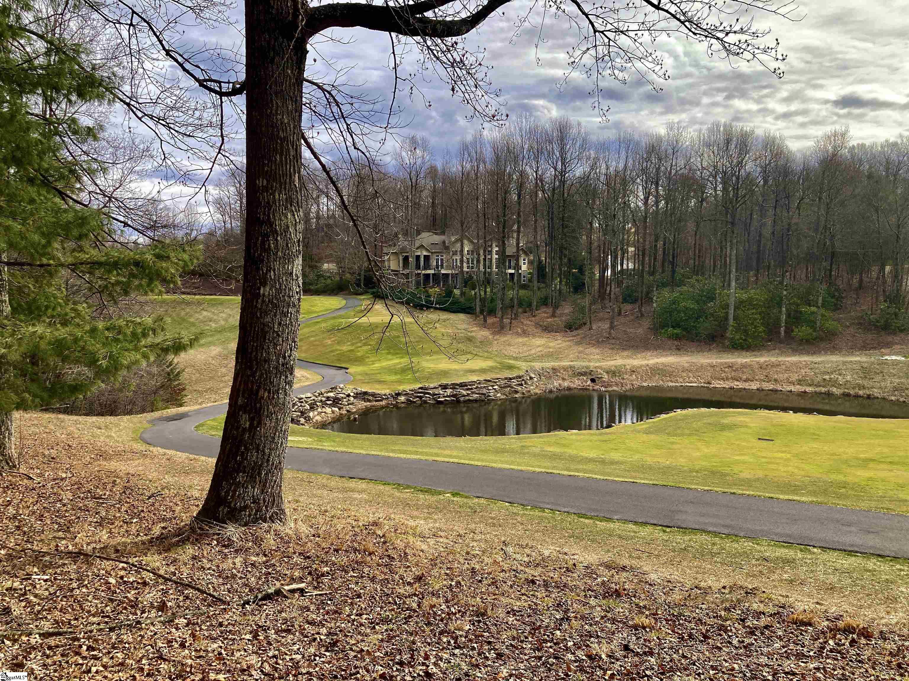 238 Snap Dragon Way Landrum, SC 29356 - Photo 4 of 6