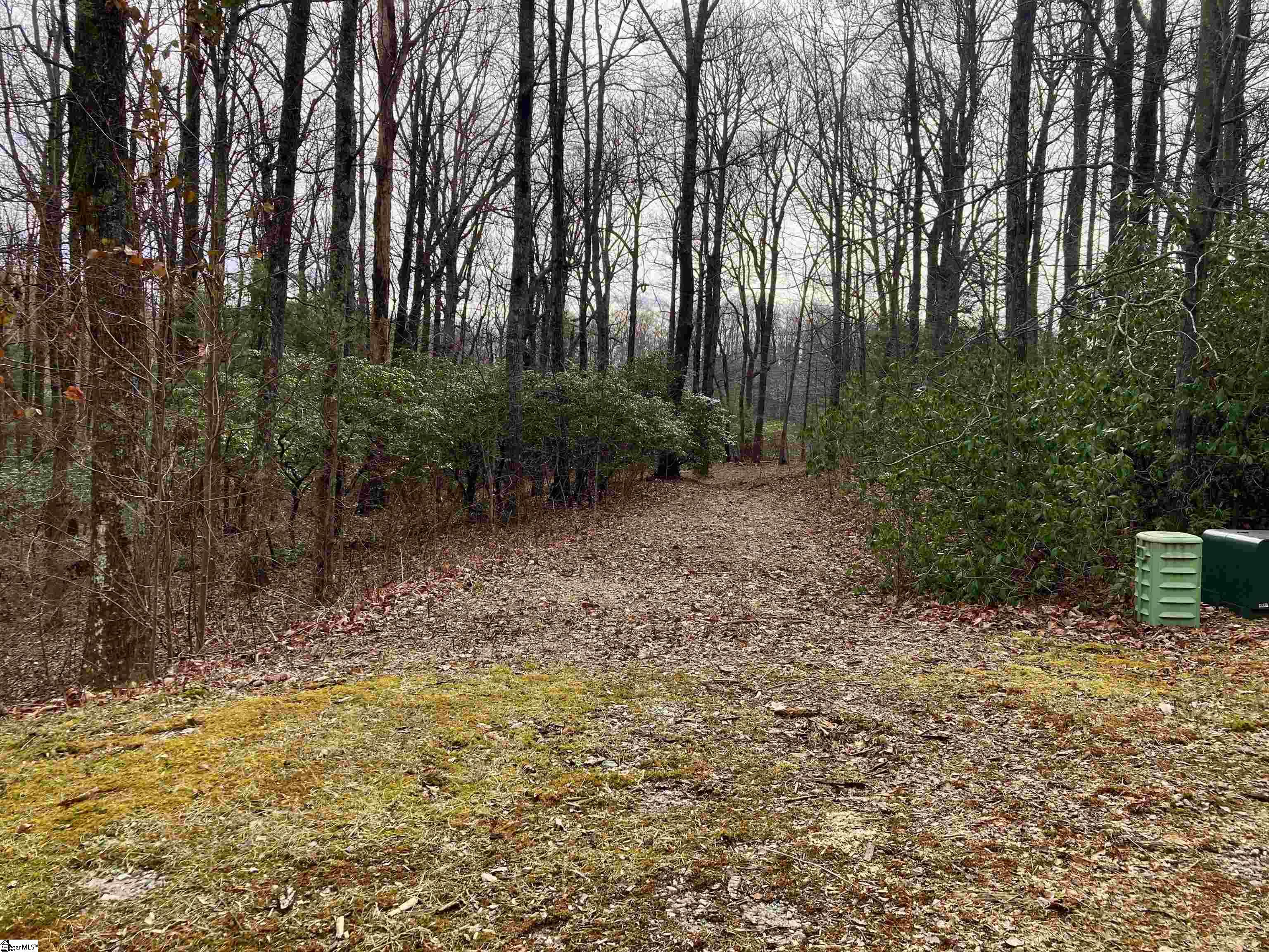 238 Snap Dragon Way Landrum, SC 29356 - Photo 5 of 6