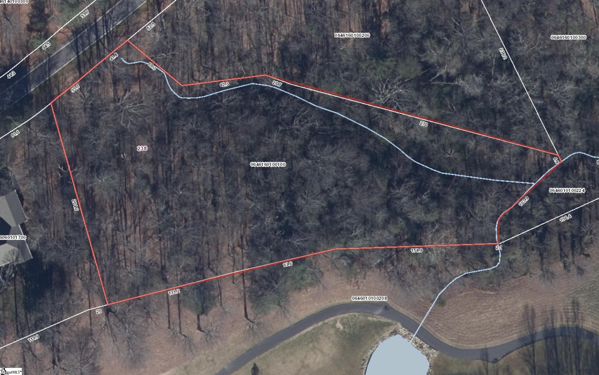 238 Snap Dragon Way Landrum, SC 29356 - Photo 6 of 6