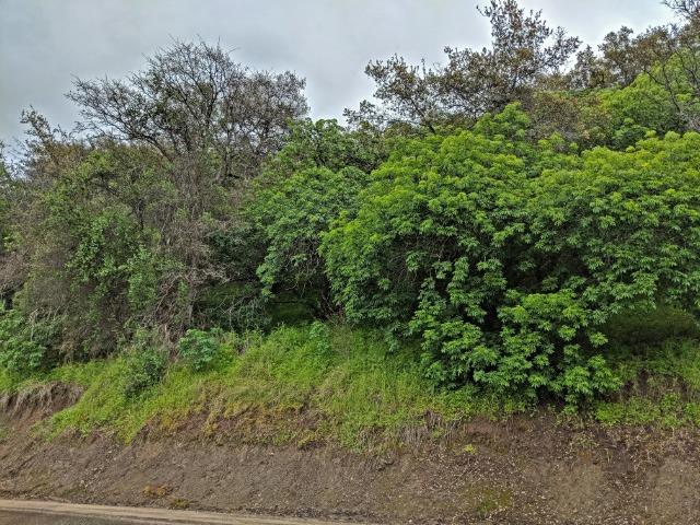 0 Lot 225 Ruth Hill Road Squaw Valley, CA 93675 - Photo 4 of 5 Gallery Image 4