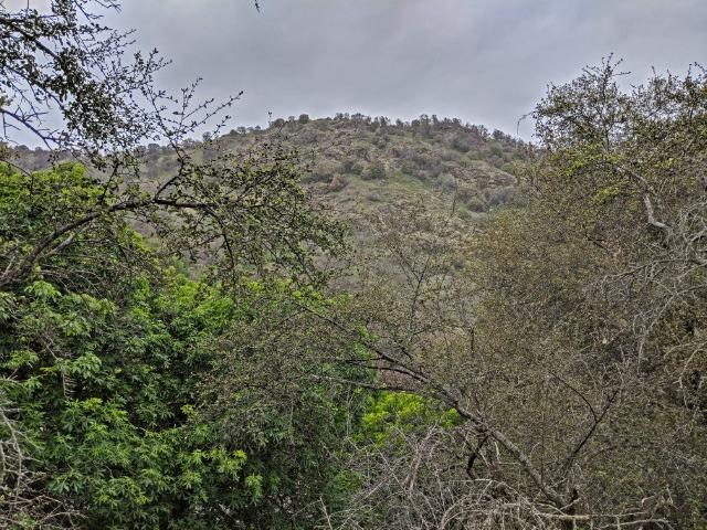 0 Lot 225 Ruth Hill Road Squaw Valley, CA 93675 - Photo 5 of 5 Gallery Image 5