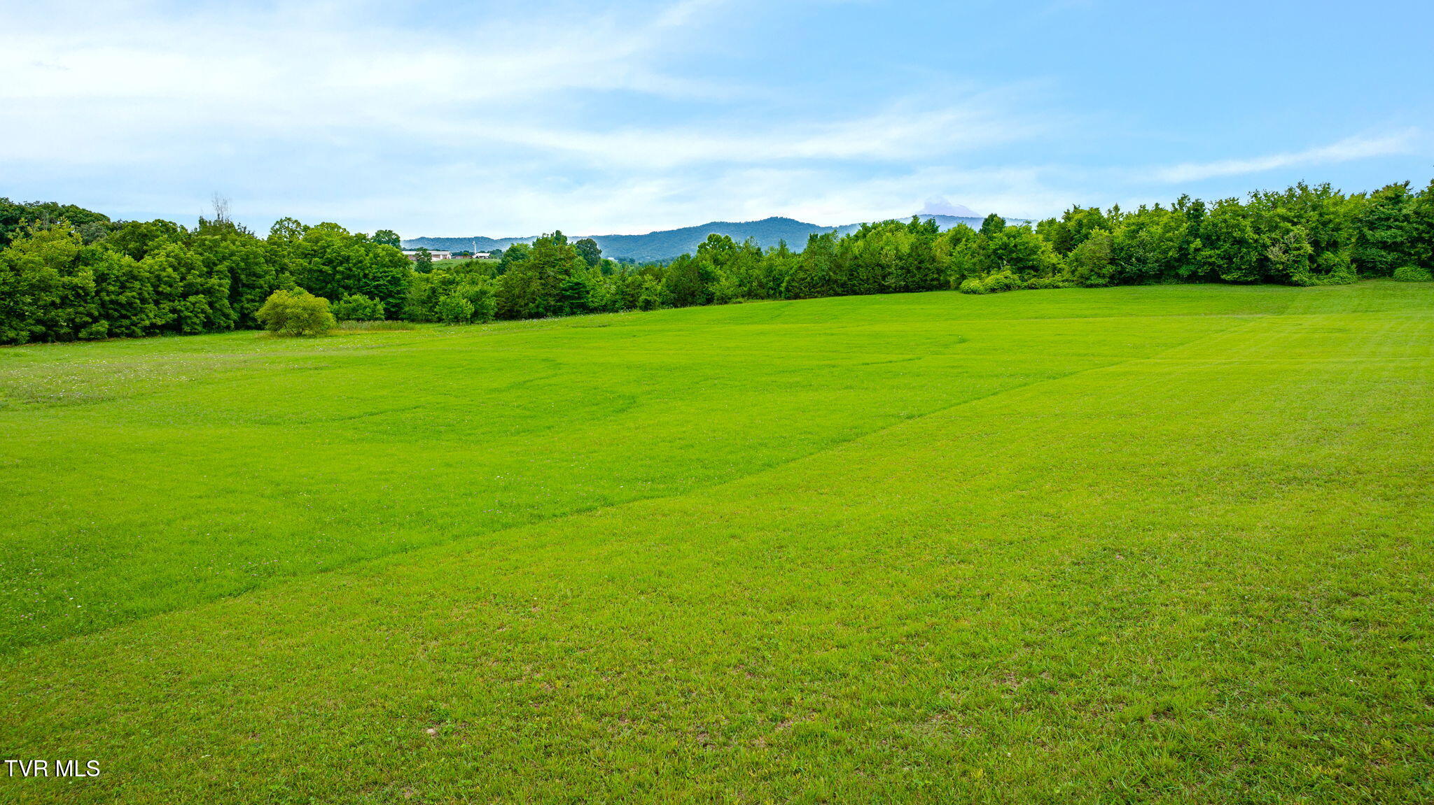 1655 Kenneytown Road Greeneville, TN 37745 - Photo 54 of 59 117