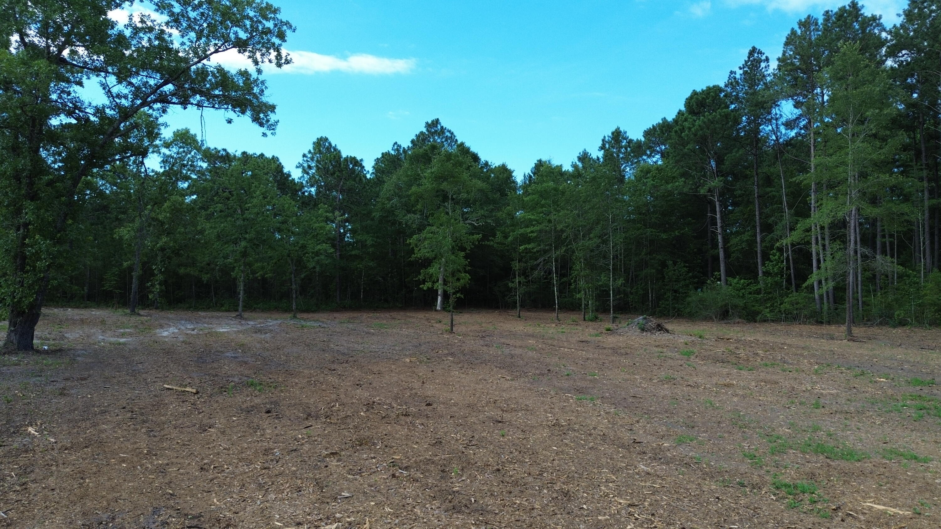 2 Trojan Road Cross, SC 29436 - Photo 7 of 17
