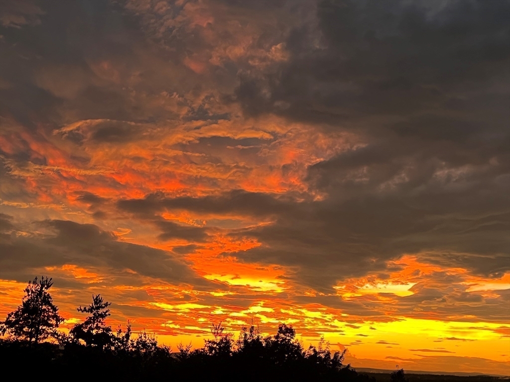 21 Kettle Hole Road Bolton, MA 01740 - Photo 1 of 39 a view of sky from window