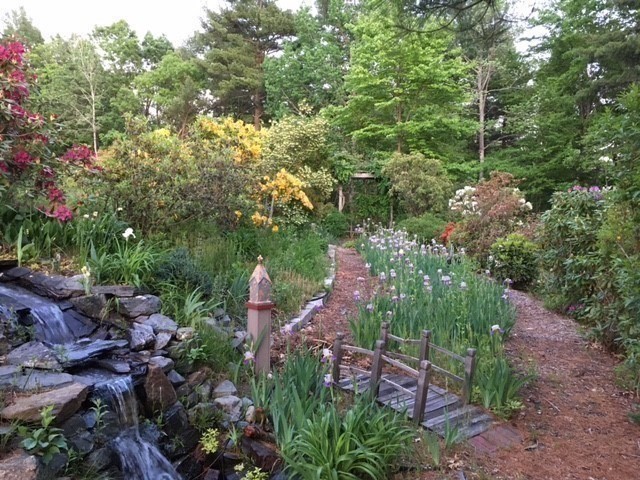 21 Kettle Hole Road Bolton, MA 01740 - Photo 4 of 39 a backyard of a house with lots of green space and garden