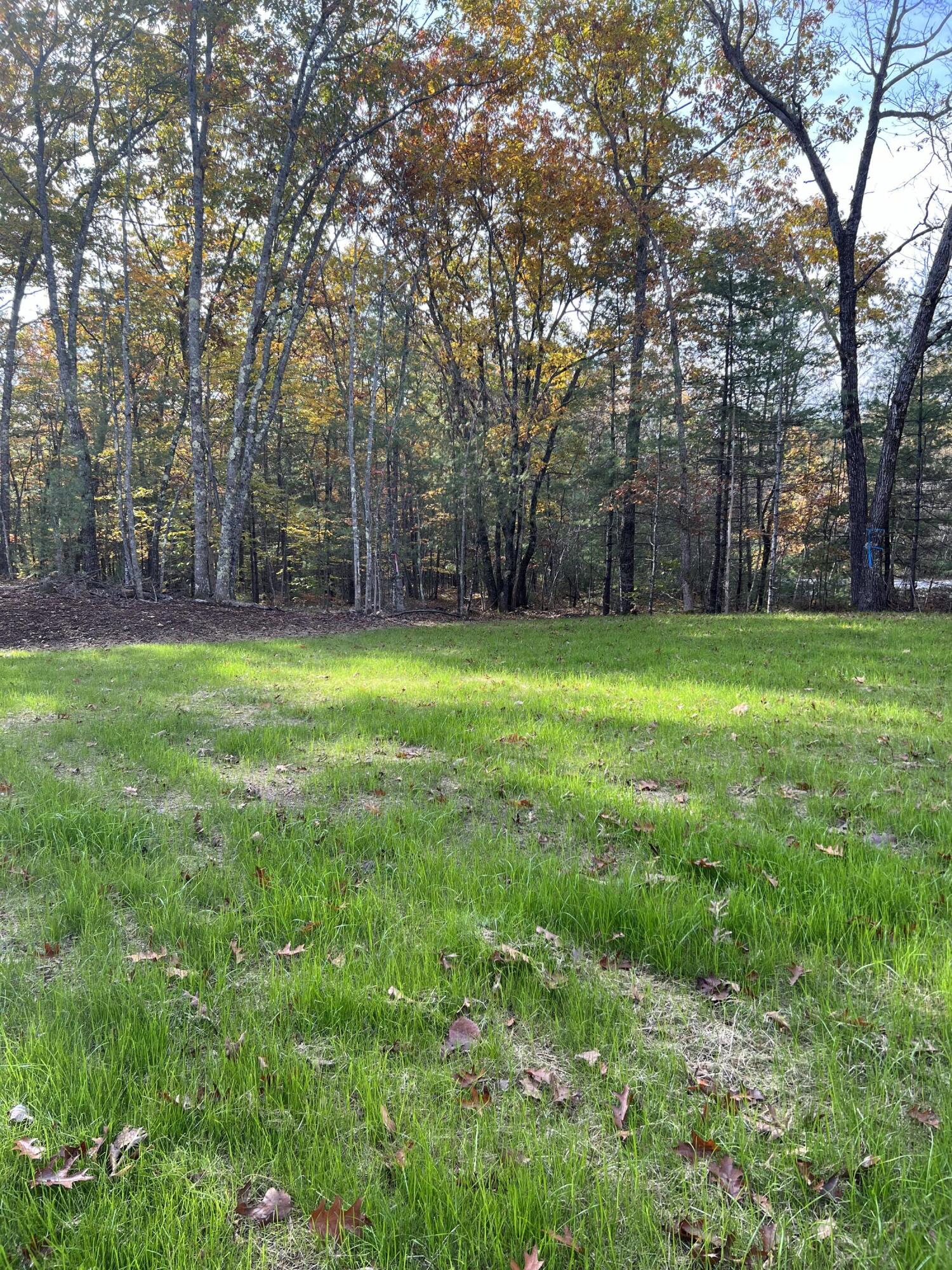 142 Burnham Drive Naples, ME 04055 - Photo 7 of 31 IMG_2615