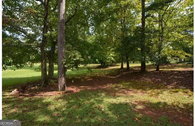 a view of a tree in the middle of a yard