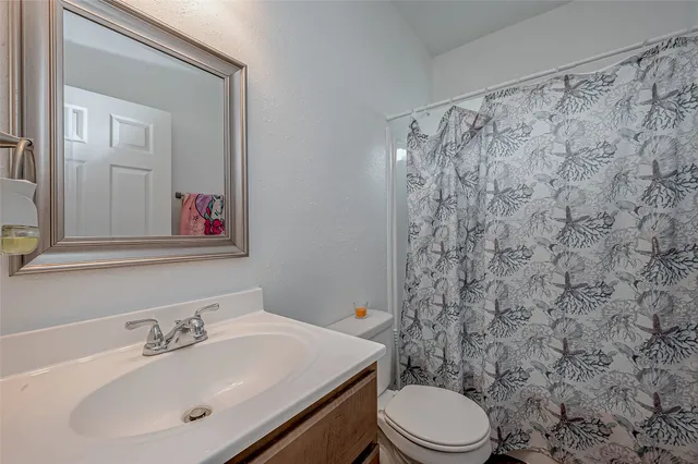 a bathroom with a sink a toilet and shower curtain