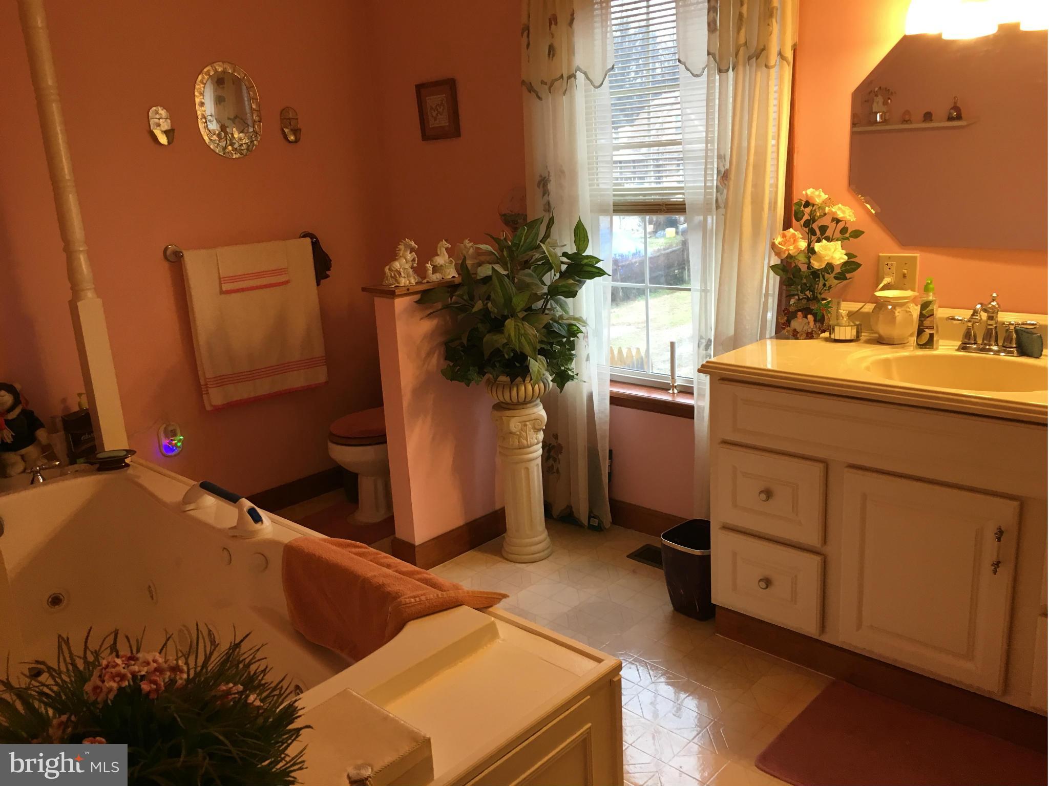 2510 Lodge Farm Road Baltimore, MD 21219 - Photo 6 of 11 Bath (Master)