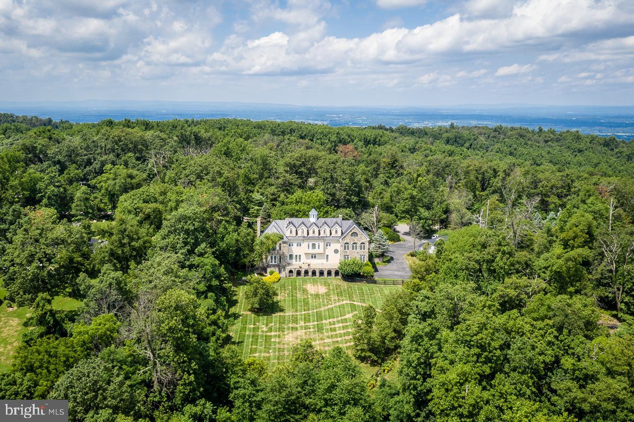 18426 Blue Ridge Mountain Road Bluemont, VA 20135 - Photo 4 of 59