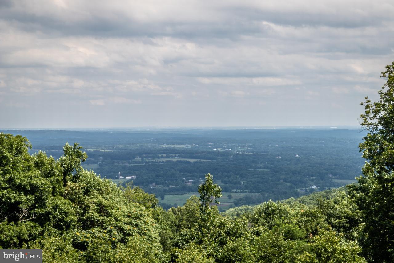 18426 Blue Ridge Mountain Road Bluemont, VA 20135 - Photo 5 of 59