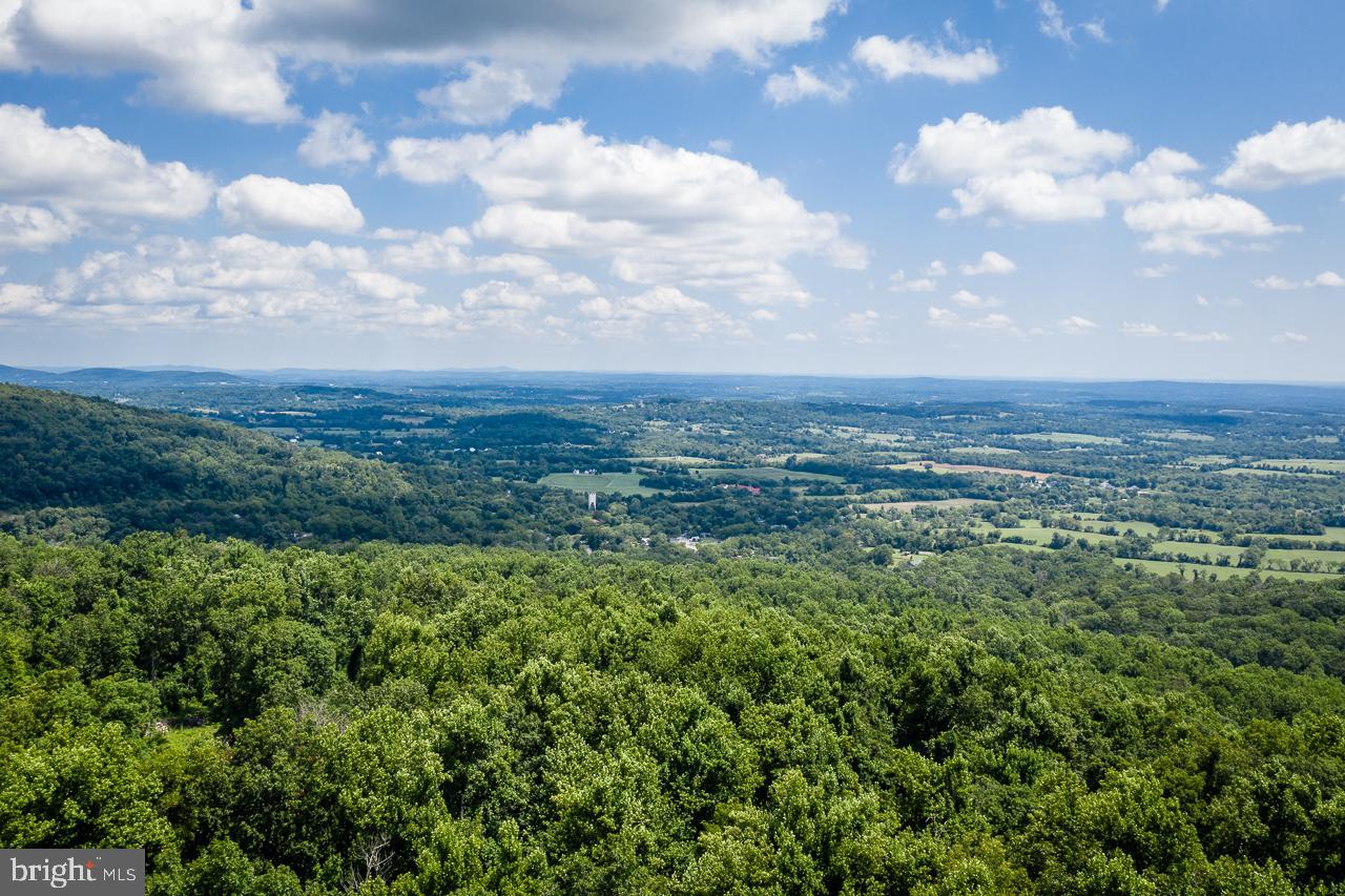 18426 Blue Ridge Mountain Road Bluemont, VA 20135 - Photo 57 of 59