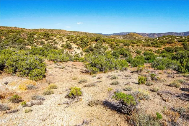 $14,000 | 26000 Arabian Drive, Tehachapi, CA 93561