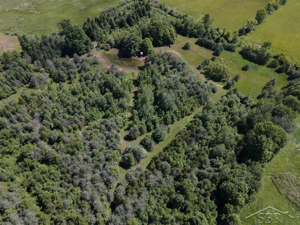 2202 West Huckleberry Road Sanford, MI 48657 - Photo 62 of 64