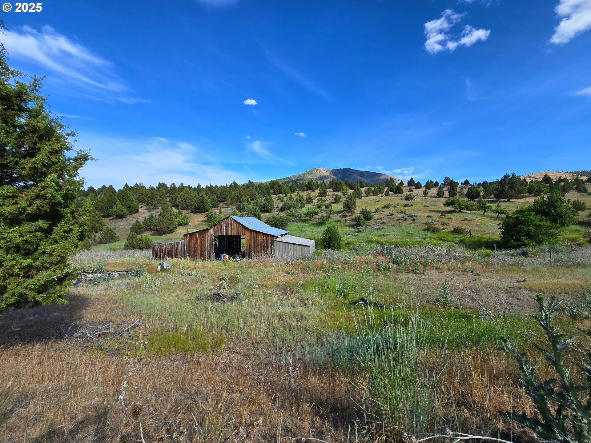26113 West Bench Road John Day, OR 97845 - Photo 12 of 17 a view of a green field