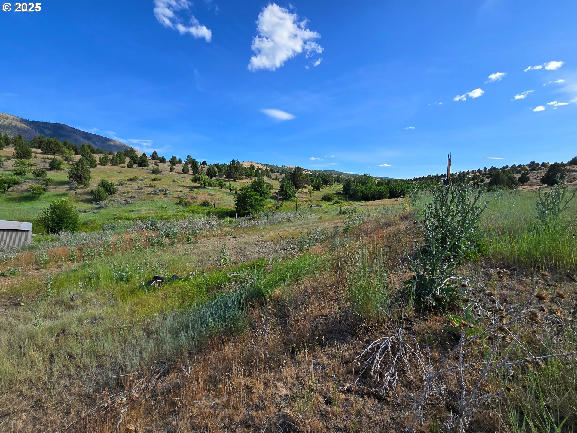 26113 West Bench Road John Day, OR 97845 - Photo 13 of 17 a view of a city with lush green forest