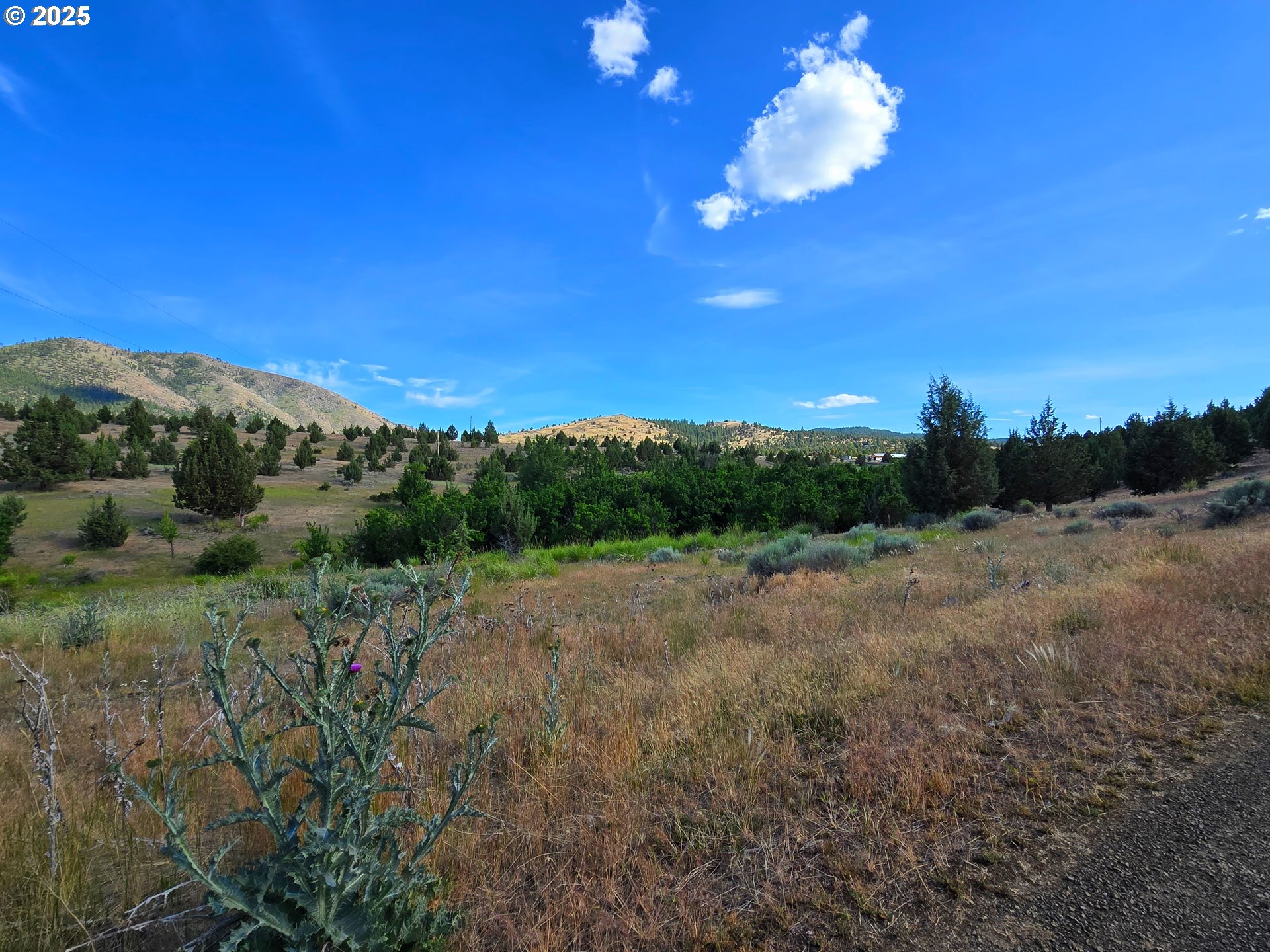 26113 West Bench Road John Day, OR 97845 - Photo 5 of 17 a view of an outdoor space with mountain view