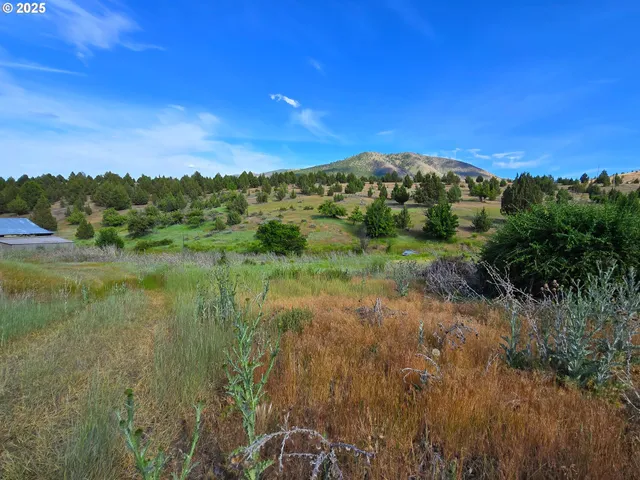 a view of a lush green outdoor space with a lake view