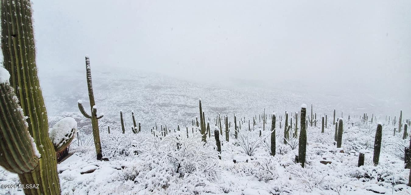 5499 North Wentworth Road Tucson, AZ 85749 - Photo 5 of 8 White Desert