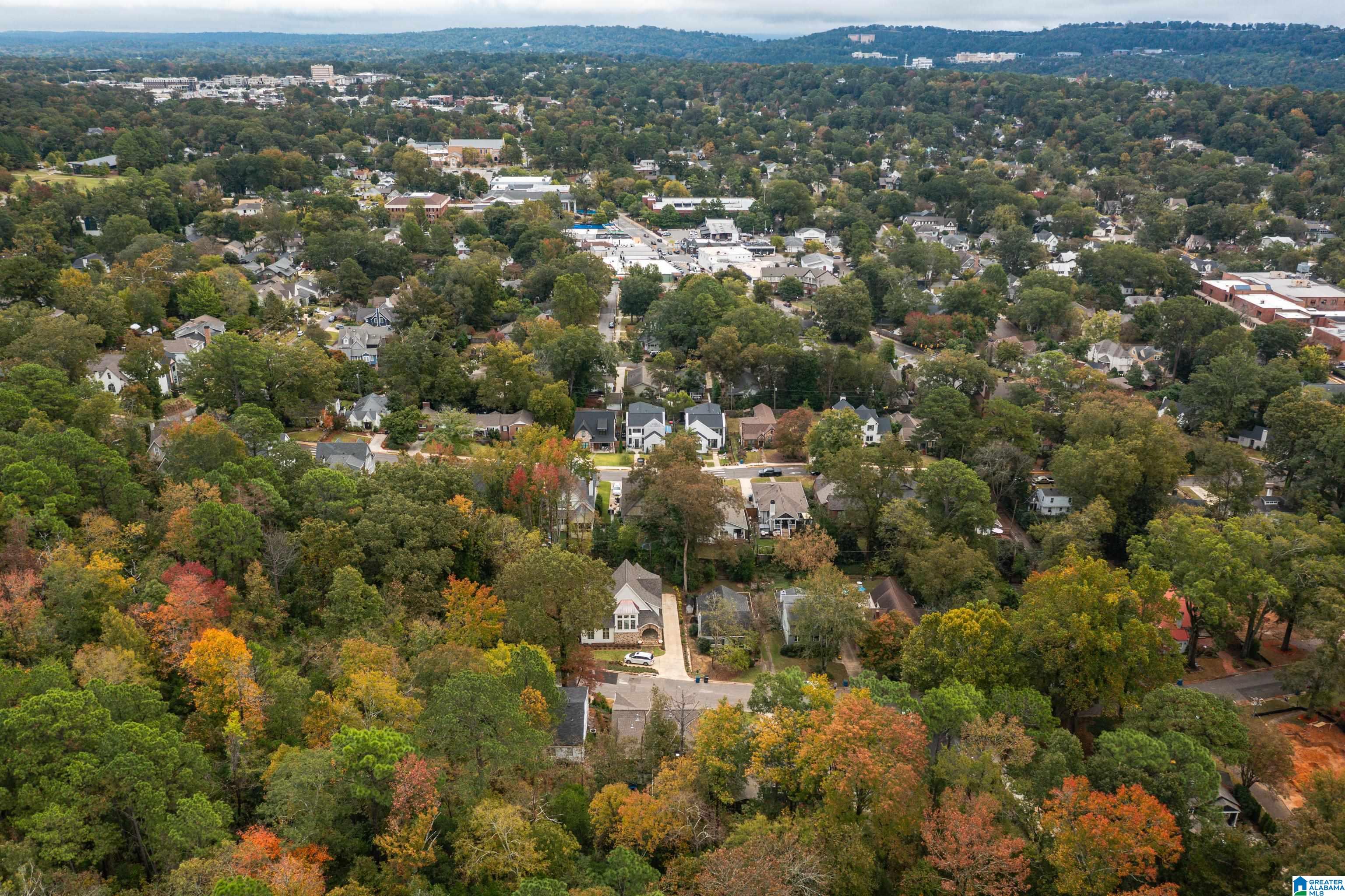 210 Edgeview Avenue Birmingham, AL 35209 - Photo 87 of 93